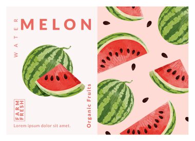 Karpuz paketleme tasarım şablonları, suluboya biçim vektör çizimi.