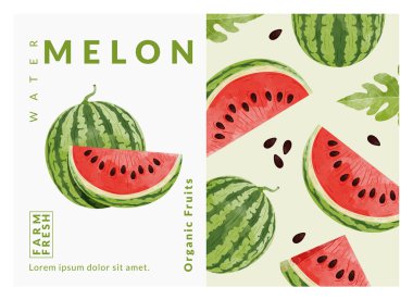 Karpuz paketleme tasarım şablonları, suluboya biçim vektör çizimi.