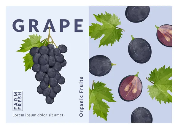 stock vector Grapes packaging design templates, watercolor style vector illustration.