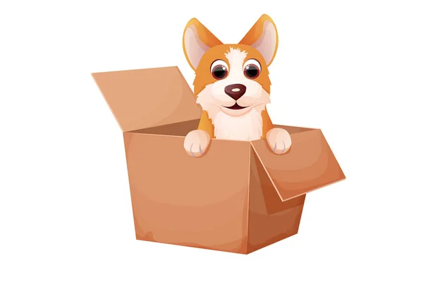 Corgi Cute Pet Puppy Box Adopt Animal Concept Homeless Character — Stock Vector