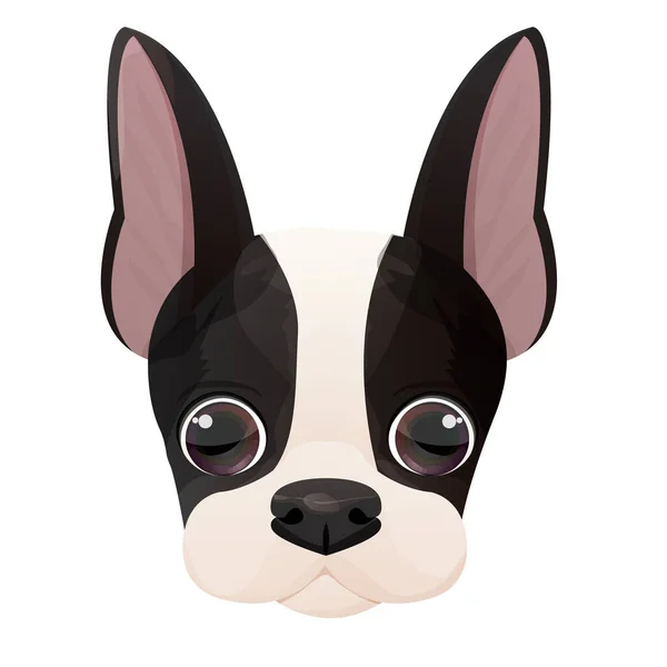 Boston Terrier Cara Cabeza Cachorro Retrato Estilo Dibujos Animados Aislados — Vector de stock