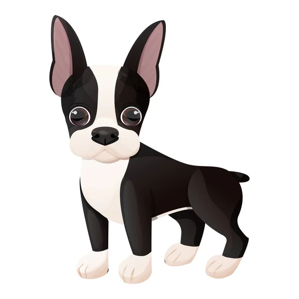 Boston Terrier Cachorro Fresco Pie Estilo Dibujos Animados Aislados Sobre — Vector de stock