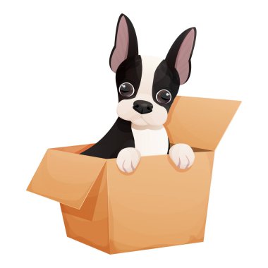 Kutuda oturan şirin Boston teriyeri köpek, beyaz arka planda karikatür tarzında sevimli bir hayvan. Komik duygusal karakter, komik duruş. Vektör illüstrasyonu