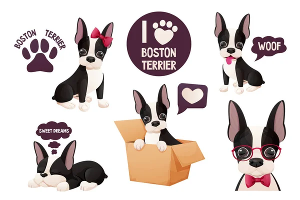 Set Cute Boston Terrier Pegatinas Cachorro Dulce Fresco Estilo Dibujos — Vector de stock