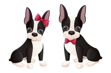 Set boston terrier girl and boy puppy with bow sitting in cartoon style isolated on white background. Cute dog, print design. Vector illustration