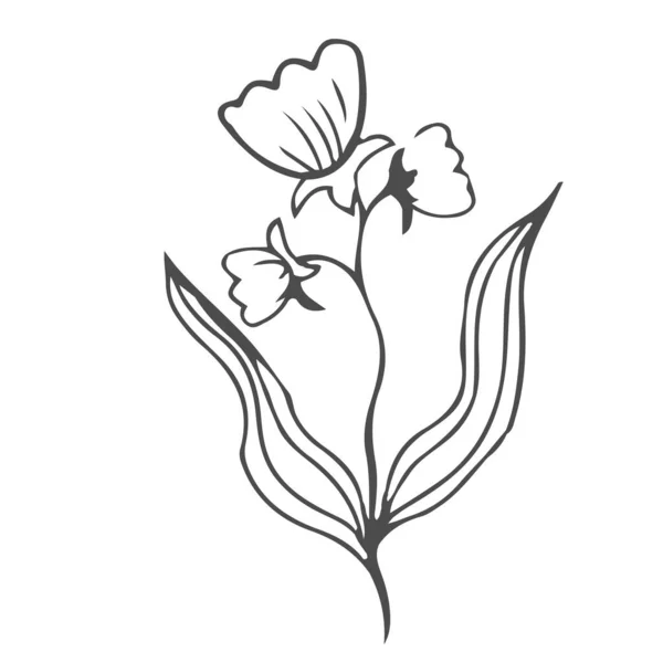 Ručně Kreslené Listy Listy Roztomilá Elegantní Estetická Rostlina Izolovaná Bílém — Stockový vektor