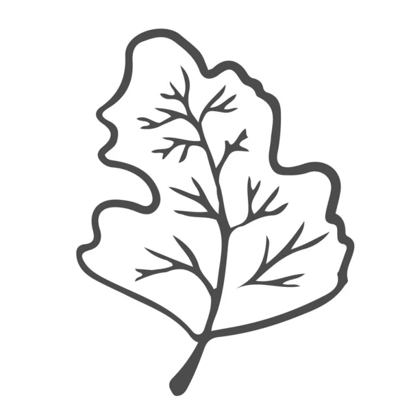 Kritzeln Handgezeichnete Blätter Laub Niedliche Elegante Ästhetische Pflanze Isoliert Auf — Stockvektor