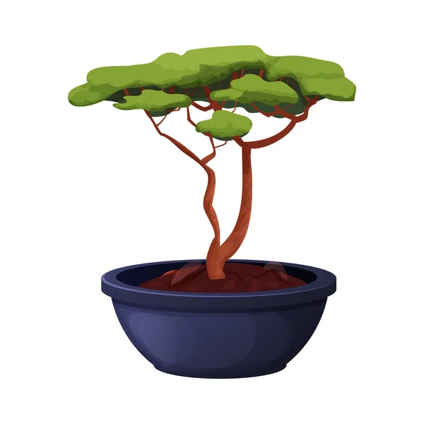 Drzewo Bonsai Skręconym Tułowiem Liście Ceramicznym Garnku Stylu Kreskówki Azjatycka — Wektor stockowy