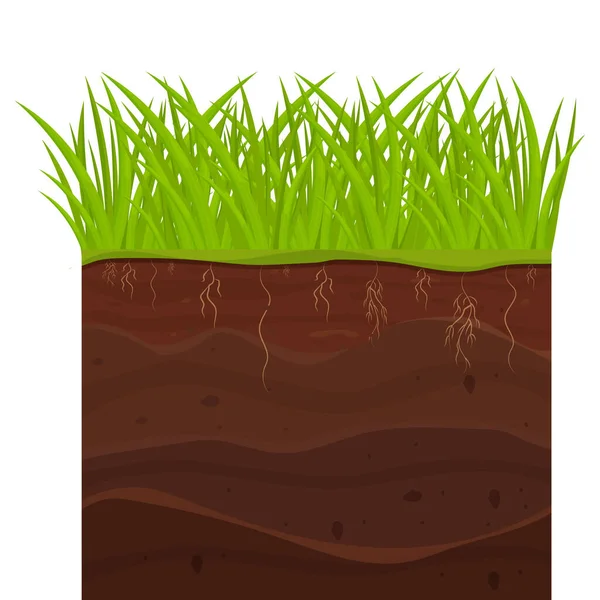 Bodem Grond Met Lagen Gras Wortels Stenen Aarde Secties Cartoon — Stockvector