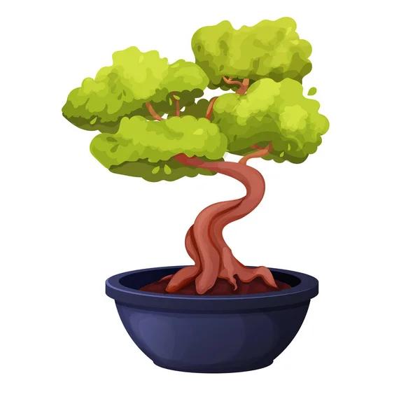 Pohon Bonsai Dengan Batang Bengkok Dedaunan Dalam Panci Keramik Dengan - Stok Vektor