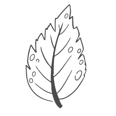 El çizimi yapraklar, yeşillik, beyaz arka planda izole edilmiş zarif estetik bitki. Sınır, tasarım unsuru, kabataslak çizim. Vektör illüstrasyonu