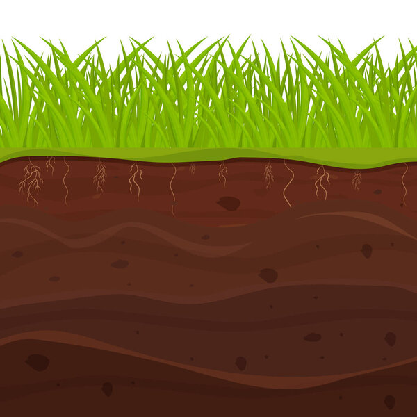 Soil, ground with layers, grass roots and stones, earth sections in cartoon style isolated on white background. Vector illustration