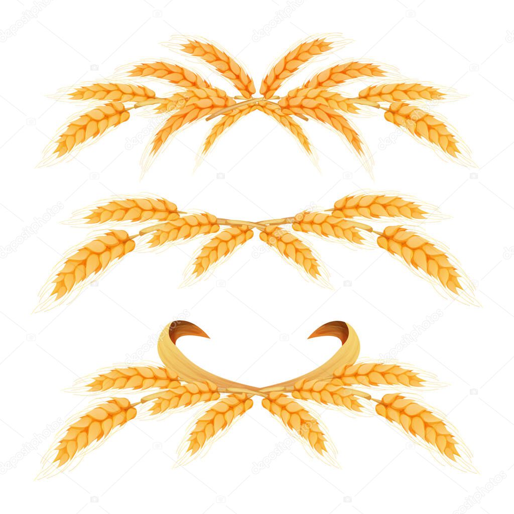 Set Wreath border from spikelets, golden color wheat horizontal frame in cartoon style isolated on white background. For bakery, tags or labels. Vector illustration