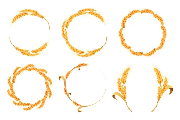 Set Wreath Spikelet Frame Border Golden Color Wheat Circle Cartoon — Stock Vector