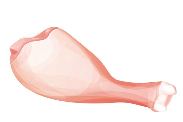 Tavuk Budu Çiğ Üst Görünümü Beyaz Arka Planda Izole Edilmiş — Stok Vektör