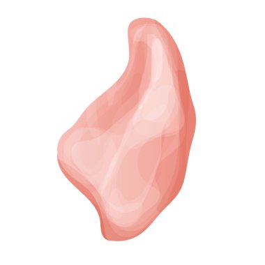 Tavuk fileto eti beyaz arka planda izole edilmiş karikatür tarzında göğüs üstü görüntüsü. Kemiksiz ham madde. Vektör illüstrasyonu