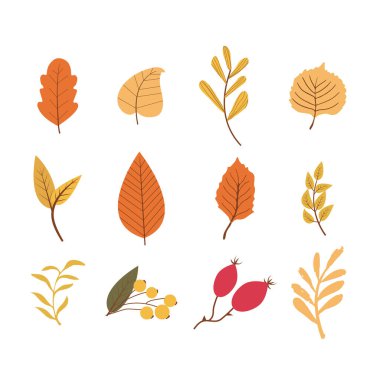 Sonbahar ağacını beyaz arka planda izole edilmiş çizgi film tarzında parlak orman süslemeleri ile süsleyin. Böğürtlen dalları botanik koleksiyonu. Vektör illüstrasyonu