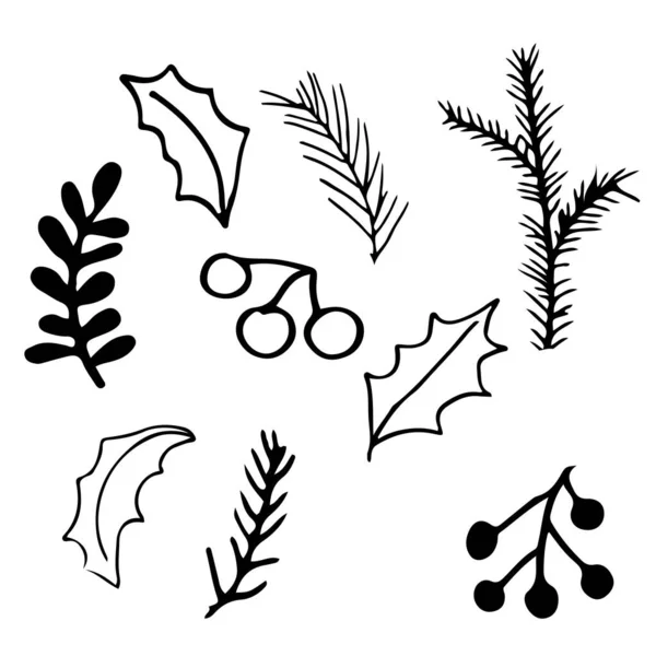 Cône Pin Branche Pin Baies Feuilles Disposées Dans Style Doodle — Image vectorielle