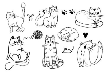 Sevimli kedi, çizgi çizen kedi, beyaz arka planda izole edilmiş duygusal karakter. Comic Pet çizimi. Vektör illüstrasyonu