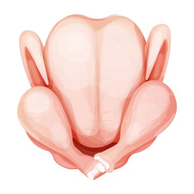 Beyaz arka planda izole edilmiş karikatür tarzında tavuk eti ya da hindi tepesi. Çiğ, pişmemiş ürün, malzeme. Vektör illüstrasyonu