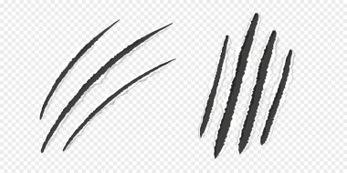 Tırnak izleri, vahşi hayvan tırnağı izleri şeffaf arka planda yırtık kağıt kenarları. Süslü kedi, kaplan, aslan pençesi izi. Vektör illüstrasyonu