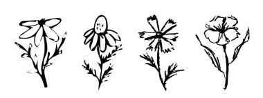 Soyut yaz çiçekleri, boyanmış mürekkep çizimleri tebeşir desenli çiçek desenli el çizimleri. Kömür eskizi, modaya uygun minimum dövme. Vektör illüstrasyonu
