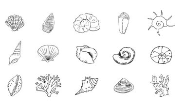 Deniz kabuğu, okyanus yaşamının resimlerini çiziyor. Modern tarz, yaz, tatil, sahil tasarım unsurları. Mercan ve deniz yosunu, deniz yıldızı hattı. - Evet. Vektör illüstrasyonu