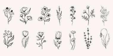 Vahşi orman otları ve çiçeklerin klasik tebeşir desenli çizimi. Line grass retro flora silueti. Boya kalemi el çizimi. Vektör illüstrasyonu