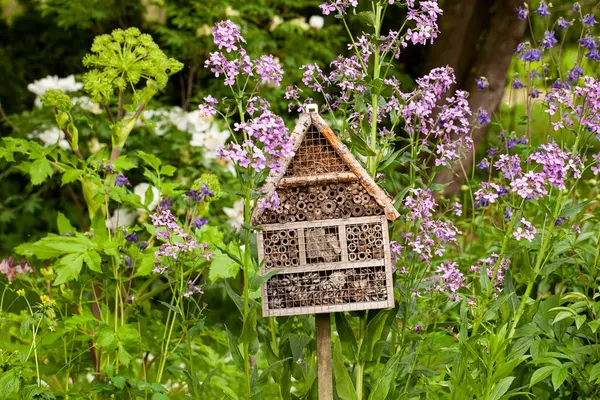 Bug House Hotel Insects Provides Shelter Summer Garden Flowers Stock Photo