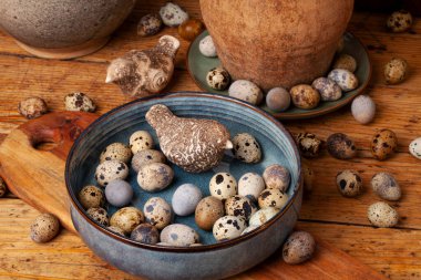 Kırsal ahşap bir yüzey üzerinde dinlenen canlı bir bıldırcın yumurtası gösterisi..