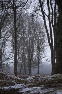 Trakai Yarımadası Kalesi, Kurban Tepesi 'nin yakınında ve 14.-15. yüzyılın ortalarında inşa edilmiş. Şatonun etrafında eski ağaçlarla süslenmiş sakin bir park var..