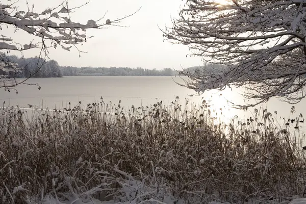 Bir kış gününün güzelliği Litvanya 'nın Trakai kentindeki Bernardine Gölü' nün bu görüntüsünde sergilenmektedir. Güneş tepemizde ışıl ışıl parlıyor, karla kaplı araziye sıcak bir parıltı saçıyor..