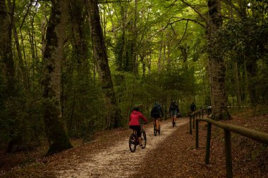 Umbra, ITALY-SEPTEMBER 26 2024: the Gargano National Park in Italy on a bike ride through the breathtaking Umbra Forest. clipart