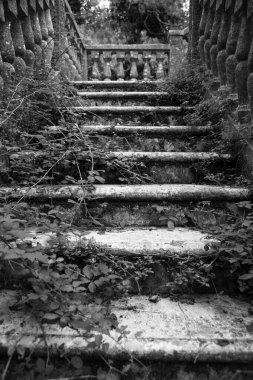 Eski, terk edilmiş bir evin sarmaşık kaplı merdivenleri. Umbra Ormanı, Gargano Ulusal Parkı, İtalya.