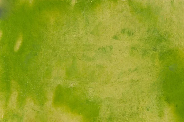 Green Painted Watercolor Background Paper Texture — Stock Photo, Image