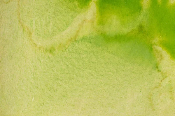 纸纹理上绿色粉刷水彩画背景 — 图库照片