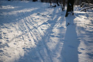 Kış ormanlarında kayak yolu kapalı seçici odak