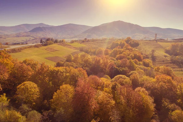 秋の朝の山の風景 美しい自然景観 カルパチア山脈 ウクライナ — ストック写真