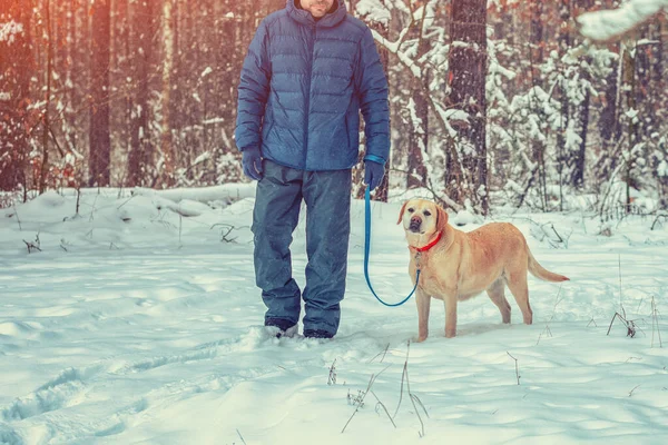 Счастливый Человек Собакой Гуляет Зимнему Снежному Лесу — стоковое фото