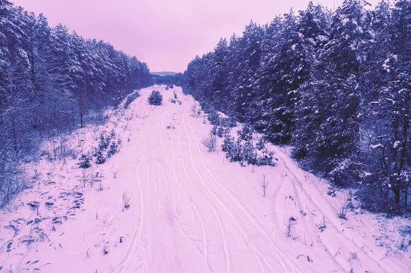 Road on the clearing in the pine forest. Winter nature Snowy forest. Christmas background. View from above