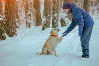 Karlı bir ormanda köpekli mutlu bir adam yürüyor.