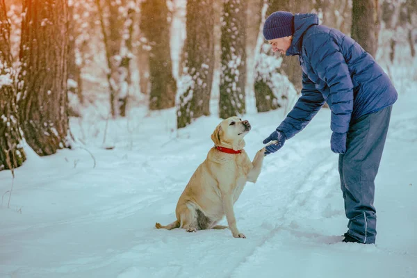 Homem Feliz Com Cão Andando Uma Floresta Nevada Inverno — Fotografia de Stock