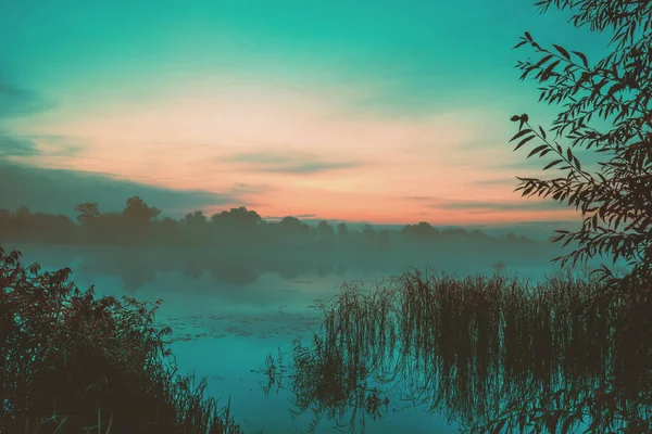 Gölün Üzerinde Sihirli Gün Doğumu Sabahın Erken Saatleri Puslu Huzur — Stok fotoğraf
