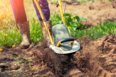 A human works in a garden with a Moto cultivator
