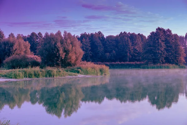 Спокойное Озеро Лесу Спокойное Озеро Утром Природный Пейзаж — стоковое фото