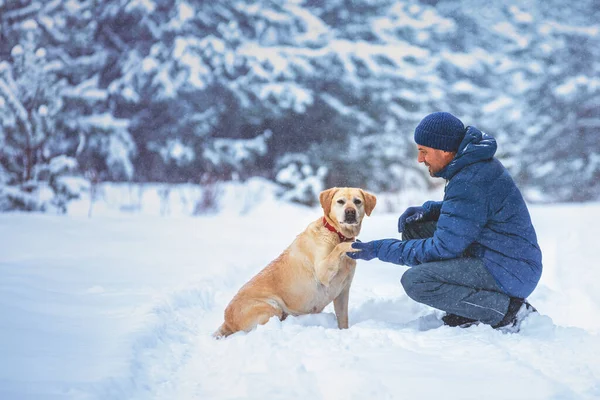 A human and a dog are best friends. The man with the dog sits in a snowy field in winter. Trained labrador retriever extends the paw to the man.  #UniqueSSelf