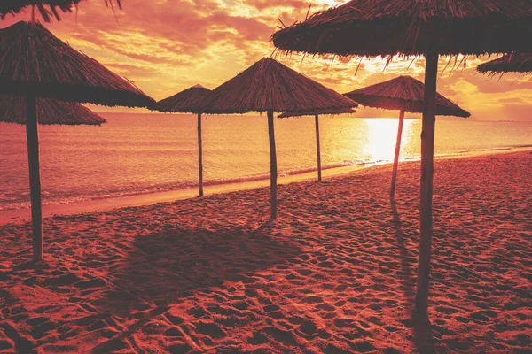 带阳伞的热带海滩风景 橙色日落时海滩上的草皮遮阳伞 — 图库照片