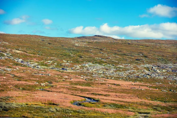 Arctische Wildernis Toendra Minimalistisch Landschap Natuur Van Noorwegen — Stockfoto