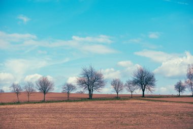 Baharın başında çıplak ağaçlarla ekilebilir alan. Kırsal alan