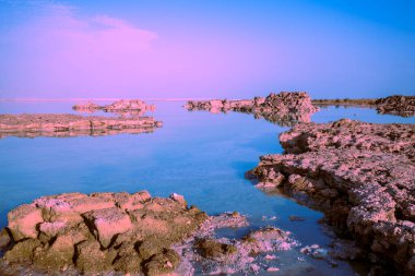 Ölü deniz kıyısı. Ein Bokek, İsrail